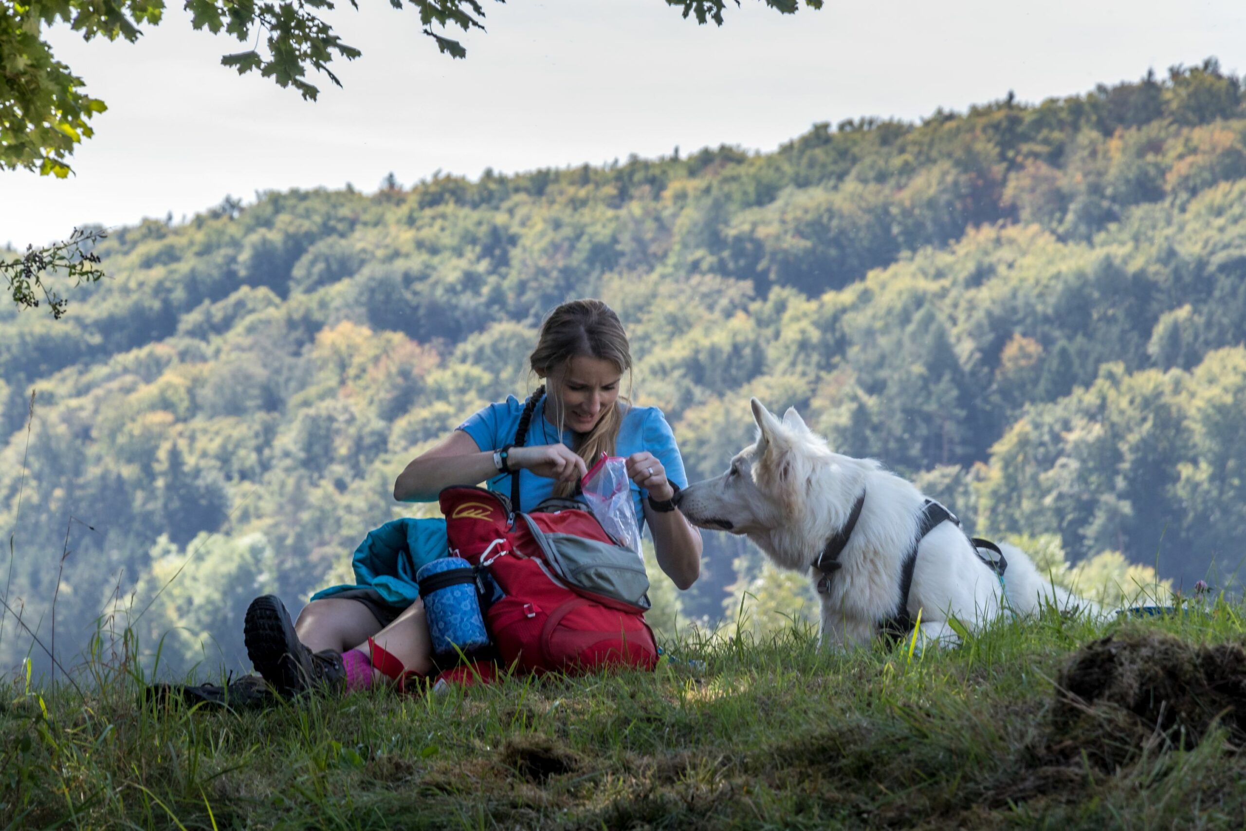 Wanderpause am Berg mit Hund