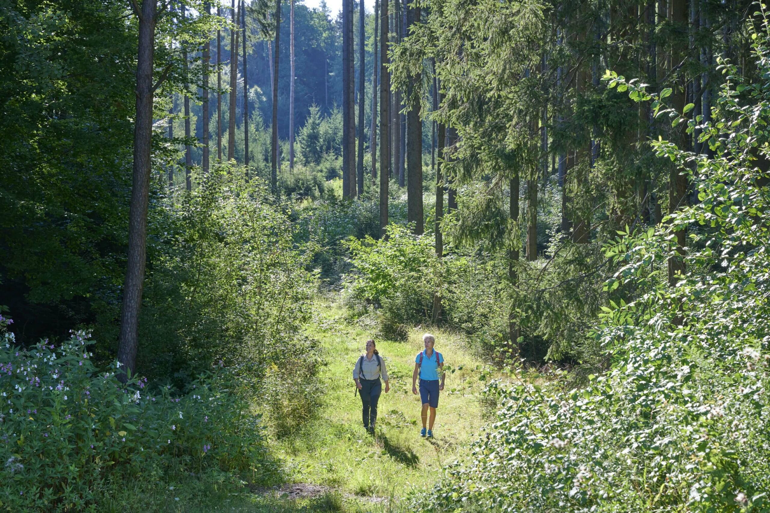 Zwei Wanderinnen im-Wald Standortübungsplatz Landshuter Höhenweg