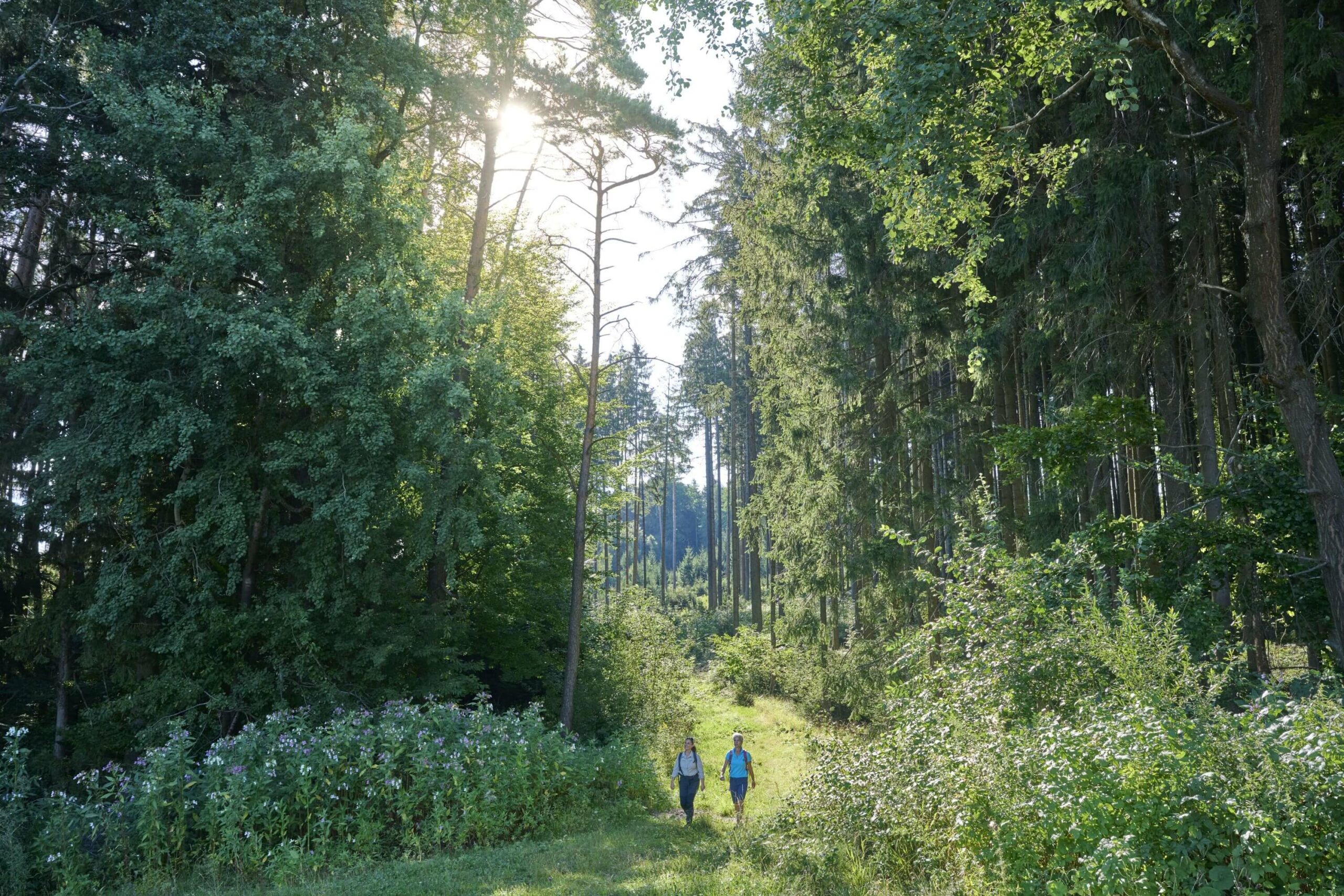 Zwei Wanderinnen im Wald Standortübungsplatz Landshuter Höhenweg