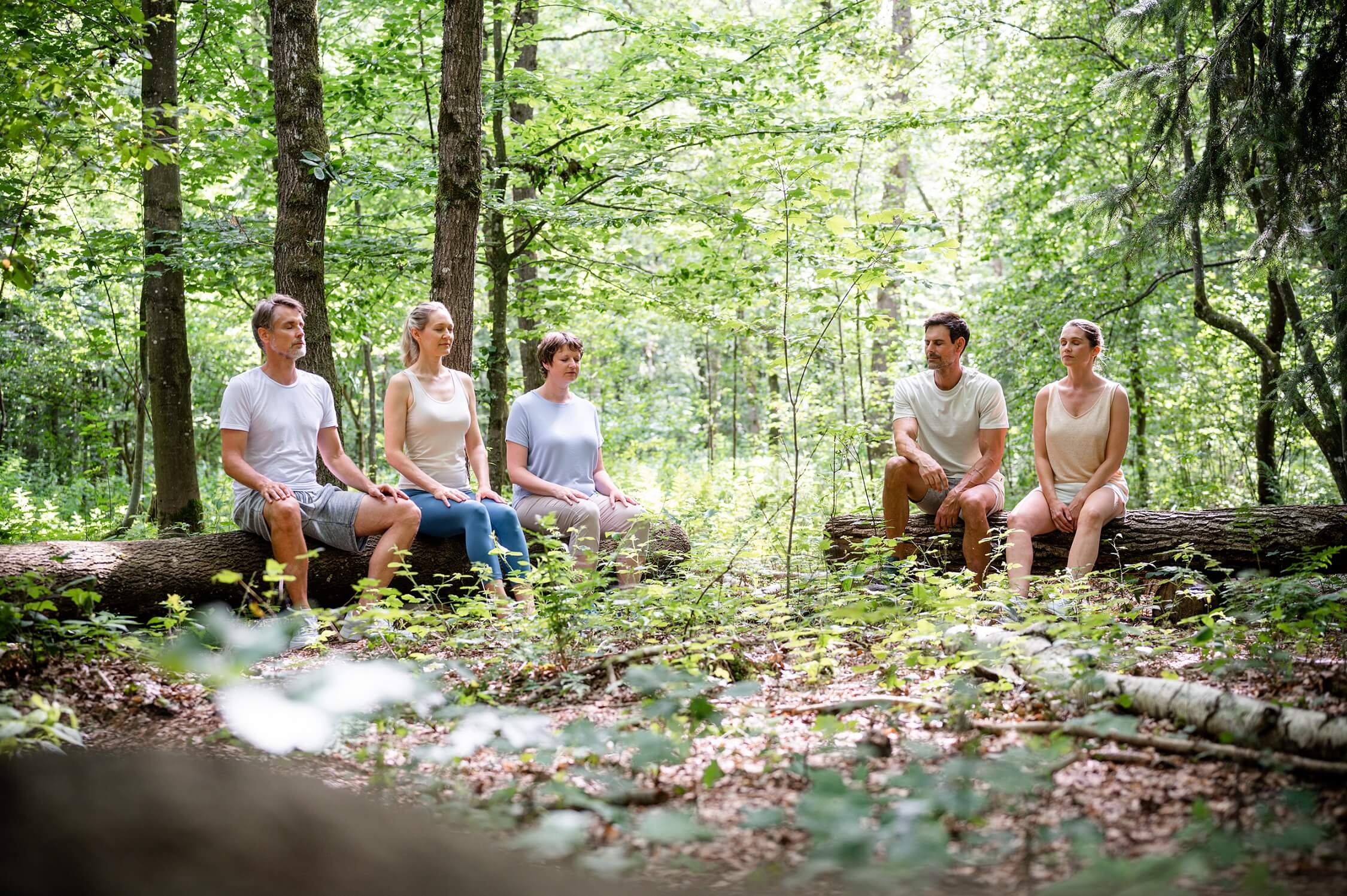 Gruppe von Personen am Meditieren im Wald